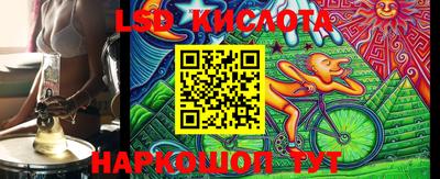 прущие крисы Новозыбков