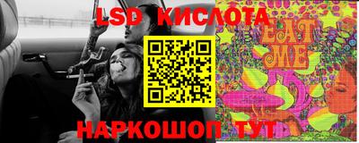 прущие крисы Новозыбков