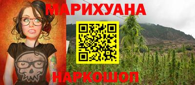 прущие крисы Новозыбков