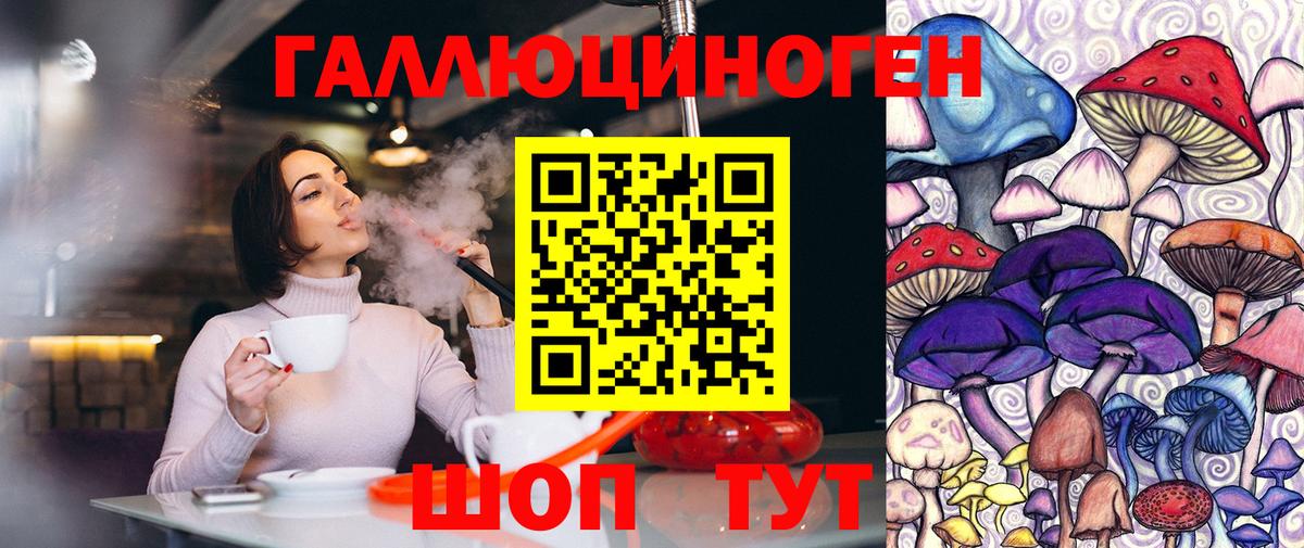 Сокол  Галлюциногенные грибы Psilocybe  Галлюциногенные грибы ЛСД  Вход с VPN 