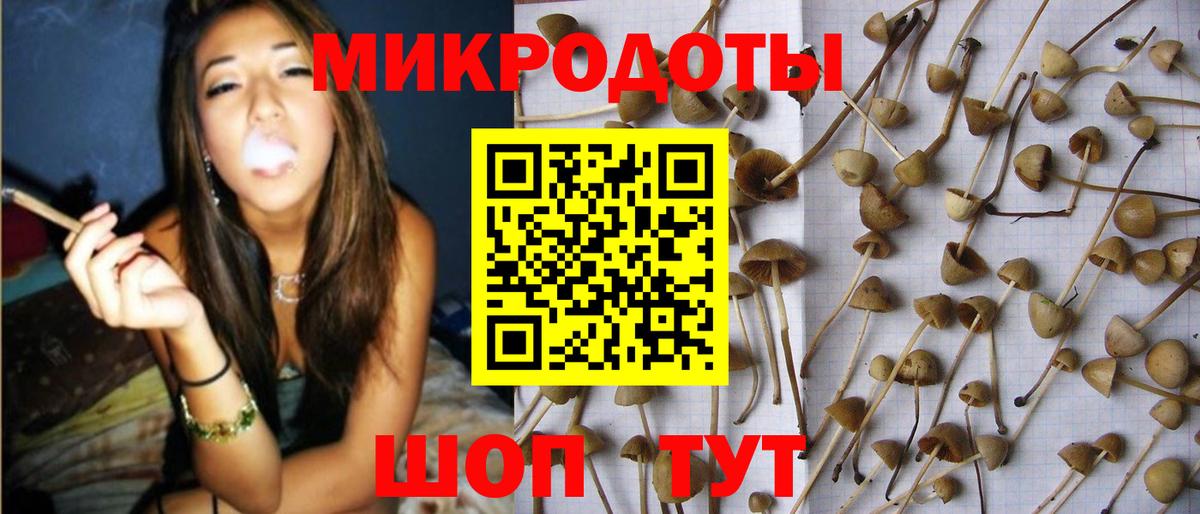 Галлюциногенные грибы Cubensis Сокол
